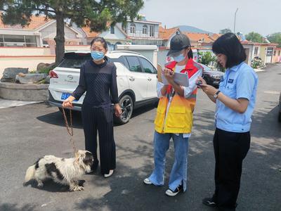 从根源处消除安全隐患，青岛这个社区给村里120多条狗接种了狂犬疫苗