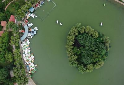 湖水充盈好泛舟 青岛这处“避暑公园”等你来