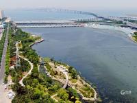 夏日里的一抹清凉绿，航拍李村河入海口