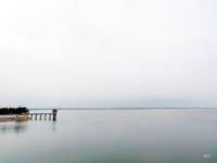 雨后莱西湖：水清鱼跃、水鸟翩跹……
