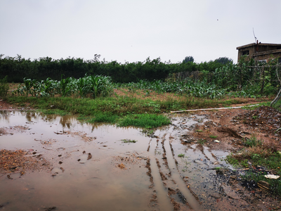 本周多降雨，田间防内涝！青岛发布农业气象灾害预警应对降雨和雷雨大风天气