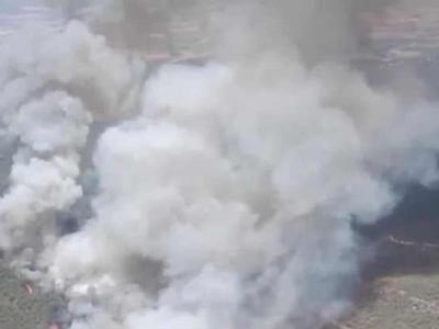 已致360人死亡！西班牙山火肆虐，最高气温超45.7℃