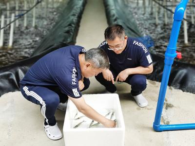 青岛：掌握水产“芯片”，向着世界一流蓝色种业中心迈进