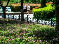 消夏好去处！青岛植物园约起来