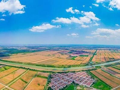 沿着总书记的足迹⑱｜保障中国粮仓，端牢中国饭碗