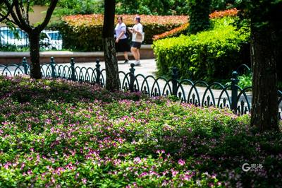 消夏好去处！青岛植物园约起来