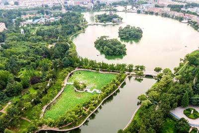 美在当“夏”！莱西月湖公园约你来赏荷花