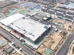 走在前 开新局 | 青岛：“链主”引领，聚链成群