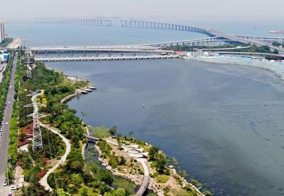 夏日里的一抹清凉绿，航拍李村河入海口