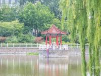 即墨这处水上公园尽显江南园林风光