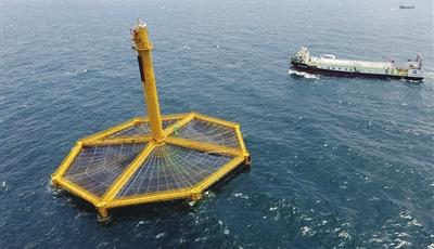 从近海走向深远海：最快12小时，国产三文鱼“游”上青岛人的餐桌！