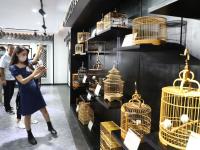 “见证数字乡村建设”新媒体、网络天团走进即墨，解锁乡村振兴“密码”