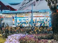 赴一场光与影的约会！云逛金沙滩啤酒城