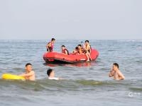 洗海澡咯！高温天里的“沙滩纳凉图”