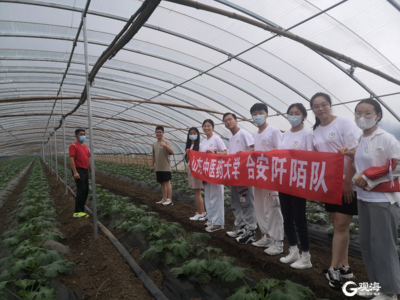 药食同源促发展，中医诊疗护健康，大学生暑期实践队莱西开展中医调研