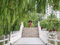 即墨这处水上公园尽显江南园林风光