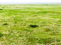 雨后莱西湖：水清鱼跃、水鸟翩跹……