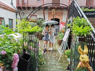 雨中大鲍岛：感受不一样的调调