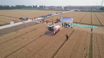 【齐心鲁力】一亩地“管饱”四口之家，这场“翻身仗”打得漂亮
