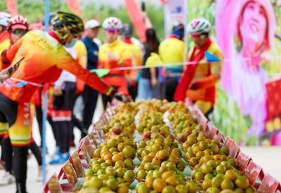 甘肃酒泉：李广杏丰收上市