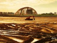 耕耘滩涂，为越冬候鸟储备美味“口粮”
