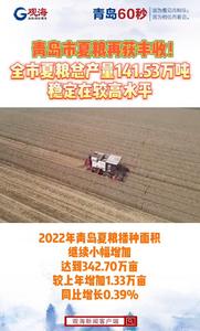 总产量141.53万吨！青岛市夏粮再获丰收