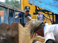 秋季开渔在即，渔民修船补网静候大丰收