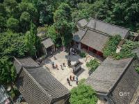 百年凌霄花开正艳，崂山太清一抹“清凉”