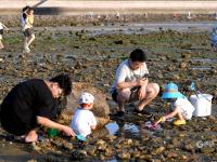 顾家岛渔港秋日实拍：镀金的海岸线，爱了