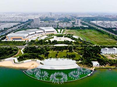 中国这十年·中国故事丨特色文化产业带动山东农民致富