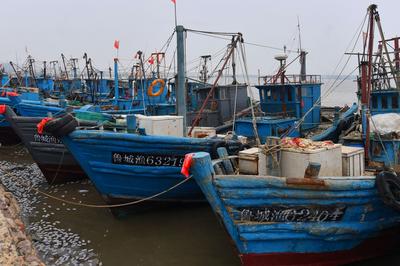 秋季开渔在即，渔民修船补网静候大丰收