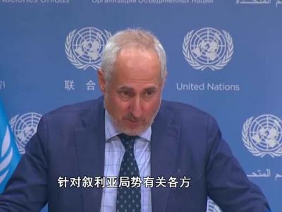 美方空袭叙利亚境内目标，联合国呼吁尊重主权