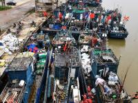 5000余条渔船准备开海，画风是这样的