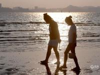 顾家岛渔港秋日实拍：镀金的海岸线，爱了