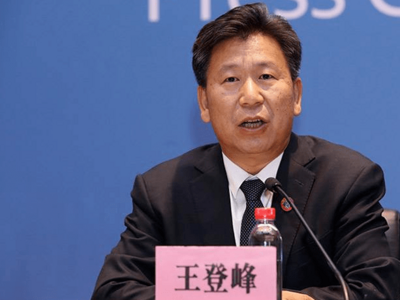 教育部体育卫生与艺术教育司司长王登峰被查