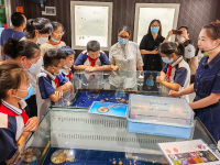 暑期研学好去处，青岛这所博物馆藏着12000余种贝壳标本