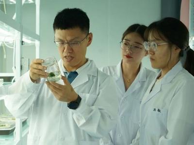 ​青岛农业大学“葫芦科作物功能基因组学”项目获国家杰青科学基金资助