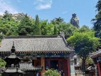 百年凌霄花开正艳，崂山太清一抹“清凉”