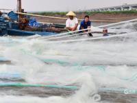 5000余条渔船准备开海，画风是这样的