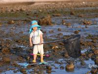 顾家岛渔港秋日实拍：镀金的海岸线，爱了