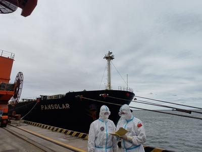 秋粮入仓，董家口边检站保障6万余吨玉米快速通关