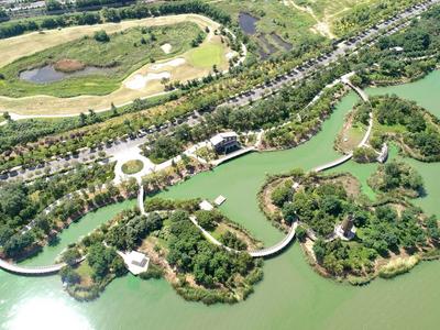 打卡美景！来上合示范区“绿色客厅”