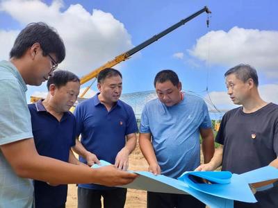 莱西：第一书记下沉一线抓项目，集体增收有奔头