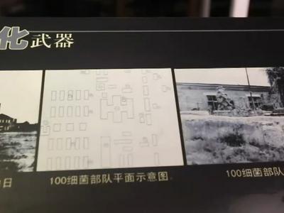 731部队还有个恶魔兄弟！日本学者揭露其细菌战罪行