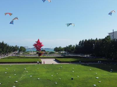 青岛举行“促进残疾人就业 保障残疾人权益”主题活动