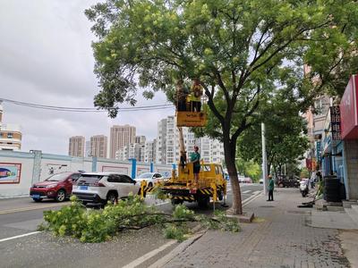 61处绿篱占道已整治6处！李沧区打好创城攻坚战