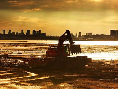 耕耘滩涂，为越冬候鸟储备美味“口粮”
