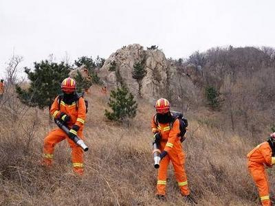 两部门部署重庆等五省市森林草原防灭火工作