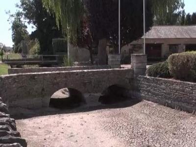 英媒：泰晤士河源头附近河床已完全干涸，将对当地水生生物造成毁灭性打击