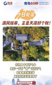 今日处暑：清风徐来，正是天凉好个秋！